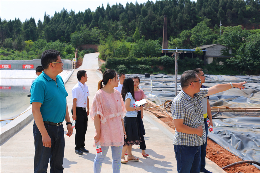 集团第一检查组检查杰阳排水公司、固废处置公司安全防汛和环保达标各项工作3_副本 集团第一检查组检查杰阳排水公司、固废处置公司安全防汛和环保达标各项工作3_副本