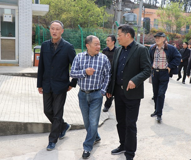 IMG_3411_副本 IMG_3411_副本