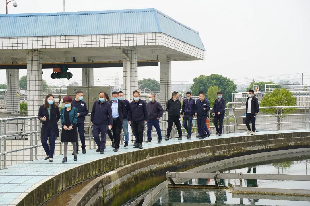 民革德阳市委调研hanimetv