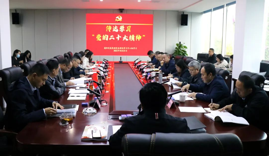 hanimetv召开党委理论学习中心组“党的二十大精神”专题学习(扩大)会